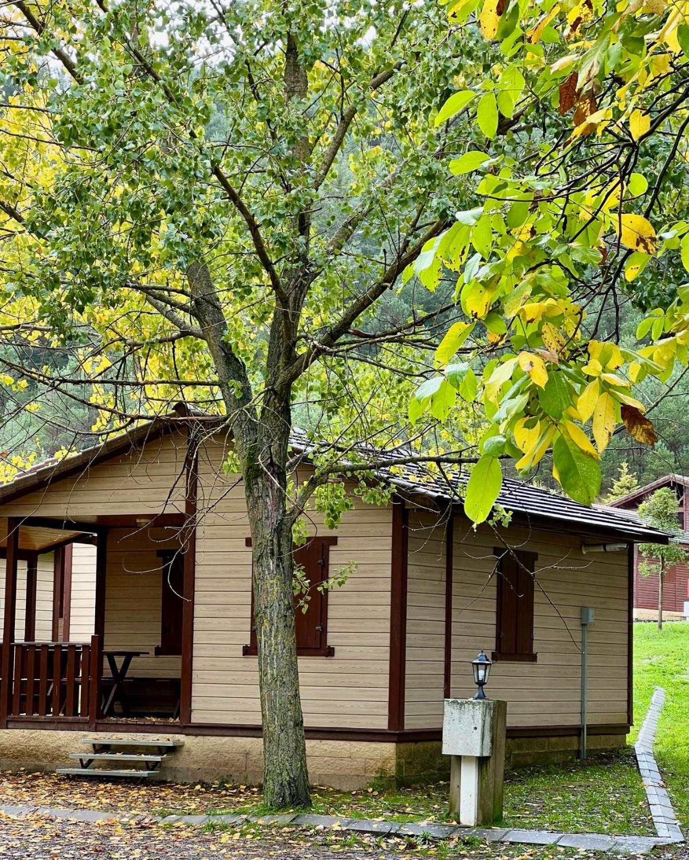 Camping Valle De Hecho Zewnętrze zdjęcie